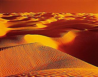 Epic喜加一：《逃脱学院》免费领