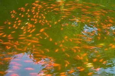 冒险RPG《出境幽灵》主机版发行日期公布